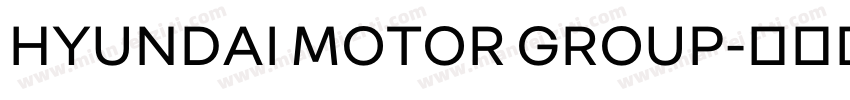 HYUNDAI MOTOR GROUP字体转换